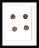 Museo, S. Giuliano, L'Aquila, Abruzzo by Anonymous