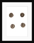Museo, S. Giuliano, L'Aquila, Abruzzo by Anonymous