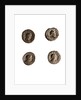 Museo, S. Giuliano, L'Aquila, Abruzzo by Anonymous