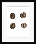 Museo, S. Giuliano, L'Aquila, Abruzzo by Anonymous