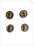 Museo, S. Giuliano, L'Aquila, Abruzzo by Anonymous