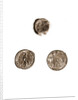 Museo, S. Giuliano, L'Aquila, Abruzzo by Anonymous