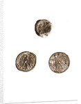 Museo, S. Giuliano, L'Aquila, Abruzzo by Anonymous