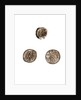 Museo, S. Giuliano, L'Aquila, Abruzzo by Anonymous