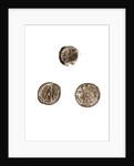 Museo, S. Giuliano, L'Aquila, Abruzzo by Anonymous