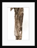 Museo, S. Giuliano, L'Aquila, Abruzzo by Anonymous