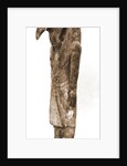 Museo, S. Giuliano, L'Aquila, Abruzzo by Anonymous