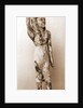 Museo, S. Giuliano, L'Aquila, Abruzzo by Anonymous