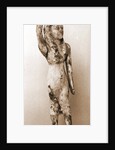 Museo, S. Giuliano, L'Aquila, Abruzzo by Anonymous