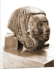 Museo, S. Giuliano, L'Aquila, Abruzzo by Anonymous