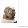 Museo, S. Giuliano, L'Aquila, Abruzzo by Anonymous