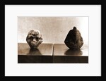 Museo, S. Giuliano, L'Aquila, Abruzzo by Anonymous