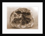 Museo, S. Giuliano, L'Aquila, Abruzzo by Anonymous