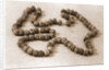 Museo, S. Giuliano, L'Aquila, Abruzzo by Anonymous