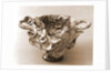 Museo, S. Giuliano, L'Aquila, Abruzzo by Anonymous