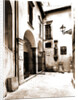 Chiesa dell' Annunziata, Sulmona, Aquila, Abruzzo by Anonymous