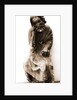 Museo Civico, Sulmona, L'Aquila, Abruzzo by Anonymous