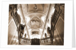 Cathedral, S. Panfilo, Sulmona, L'Aquila, Abruzzo by Anonymous