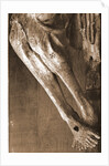 Cathedral, S. Panfilo, Sulmona, L'Aquila, Abruzzo by Anonymous