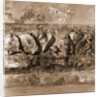 SS. Rufino e Cesidio, Trasacco, L'Aquila, Abruzzo by Anonymous