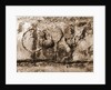 SS. Rufino e Cesidio, Trasacco, L'Aquila, Abruzzo by Anonymous