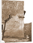 S. Michele Arcangelo, Vittorito, L'Aquila, Abruzzo by Anonymous
