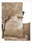 S. Michele Arcangelo, Vittorito, L'Aquila, Abruzzo by Anonymous