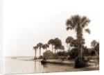 Ross Point on the Halifax, Fla, Jackson, Capes (Coasts), Rivers, United States, Florida, Halifax River, 1880 by William Henry