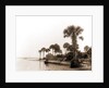 Ross Point on the Halifax, Fla, Jackson, Capes (Coasts), Rivers, United States, Florida, Halifax River, 1880 by William Henry