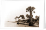 Ross Point on the Halifax, Fla, Jackson, Capes (Coasts), Rivers, United States, Florida, Halifax River, 1880 by William Henry