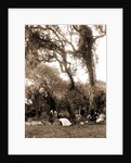 Garden near Daytona, A, Jackson, Gardens, United States, Florida, Daytona Beach, 1880 by William Henry