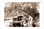 On the Tomoka, Jackson, Steamboats, Waterfronts, Rivers, United States, Florida, Tomoka River, 1880 by William Henry