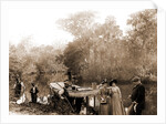 On the Tomoka, Jackson, Tourist trade, Rivers, Alligator hunting, United States, Florida, Tomoka River, 1880 by William Henry