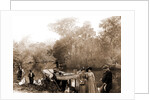 On the Tomoka, Jackson, Tourist trade, Rivers, Alligator hunting, United States, Florida, Tomoka River, 1880 by William Henry