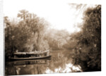 Boating on the Tomoka, Jackson, Steamboats, Rivers, United States, Florida, Tomoka River, 1880 by William Henry