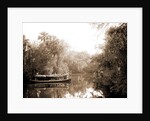 Boating on the Tomoka, Jackson, Steamboats, Rivers, United States, Florida, Tomoka River, 1880 by William Henry