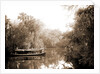 Boating on the Tomoka, Jackson, Steamboats, Rivers, United States, Florida, Tomoka River, 1880 by William Henry