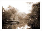 Boating on the Tomoka, Jackson, Steamboats, Rivers, United States, Florida, Tomoka River, 1880 by William Henry