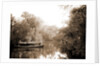 Boating on the Tomoka, Jackson, Steamboats, Rivers, United States, Florida, Tomoka River, 1880 by William Henry