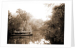 Boating on the Tomoka, Jackson, Steamboats, Rivers, United States, Florida, Tomoka River, 1880 by William Henry