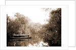 Boating on the Tomoka, Jackson, Steamboats, Rivers, United States, Florida, Tomoka River, 1880 by William Henry