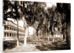 Hotel Rockledge, Indian River, Jackson, Hotel Rockledge (Fla.), Hotels, Palms, Bays, United States, Florida, Indian River, 1880 by William Henry