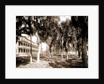 Hotel Rockledge, Indian River, Jackson, Hotel Rockledge (Fla.), Hotels, Palms, Bays, United States, Florida, Indian River, 1880 by William Henry