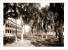 Hotel Rockledge, Indian River, Jackson, Hotel Rockledge (Fla.), Hotels, Palms, Bays, United States, Florida, Indian River, 1880 by William Henry