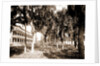 Hotel Rockledge, Indian River, Jackson, Hotel Rockledge (Fla.), Hotels, Palms, Bays, United States, Florida, Indian River, 1880 by William Henry