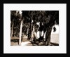 The walk at Rockledge, Indian River, Jackson, Hotels, Trails & paths, Waterfronts, Bays, United States, Florida, Indian River, 1880 by William Henry