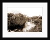 Sebastian Creek, Jackson, Streams, Boats, Bays, United States, Florida, Indian River, United States, Florida, Saint Sebastian, 1880 by William Henry