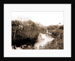 Sebastian Creek, Jackson, Streams, Boats, Bays, United States, Florida, Indian River, United States, Florida, Saint Sebastian, 1880 by William Henry