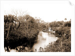 Sebastian Creek, Jackson, Streams, Boats, Bays, United States, Florida, Indian River, United States, Florida, Saint Sebastian, 1880 by William Henry