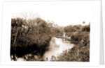 Sebastian Creek, Jackson, Streams, Boats, Bays, United States, Florida, Indian River, United States, Florida, Saint Sebastian, 1880 by William Henry